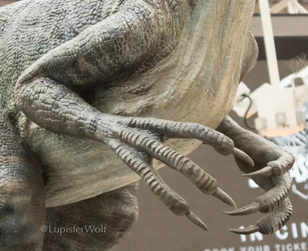 #10 - Those Iconic Raptor Hands Were Anatomically Impossible (lupisfer, Flickr, CC BY-SA 2.0)