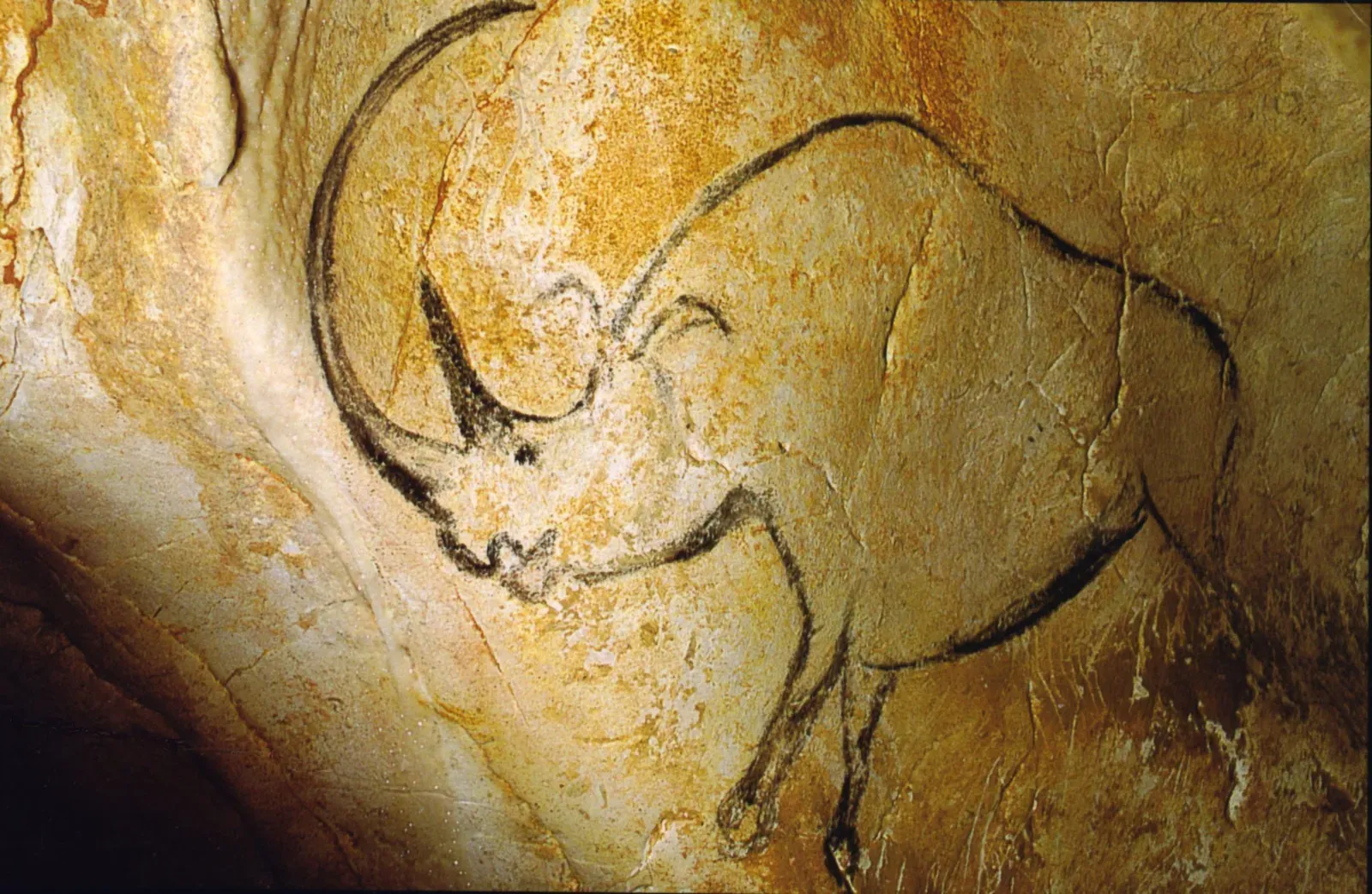 #7 - The Cave-Art Hump Was Real Anatomy, Not Artistic Exaggeration (Transferred from fr.wikipedia to Commons by Bloody-libu using CommonsHelper., Public domain)