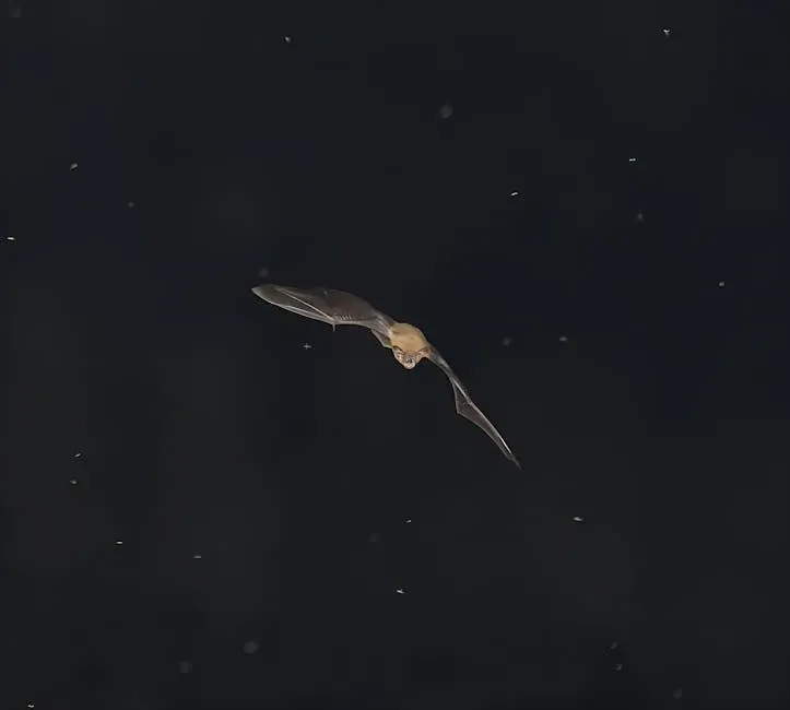 5. Dolphin-Like Echo Hunters: Bats and Toothed Whales (Image Credits: Pexels)