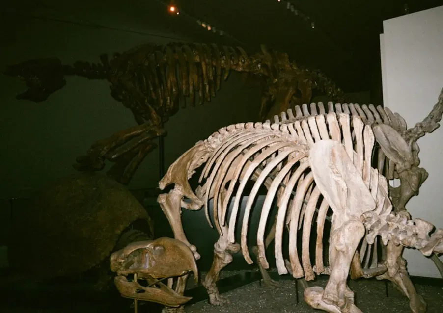#9 - The Extinction Story Got a Disease-Shaped Plot Twist (Image Credits: Unsplash)