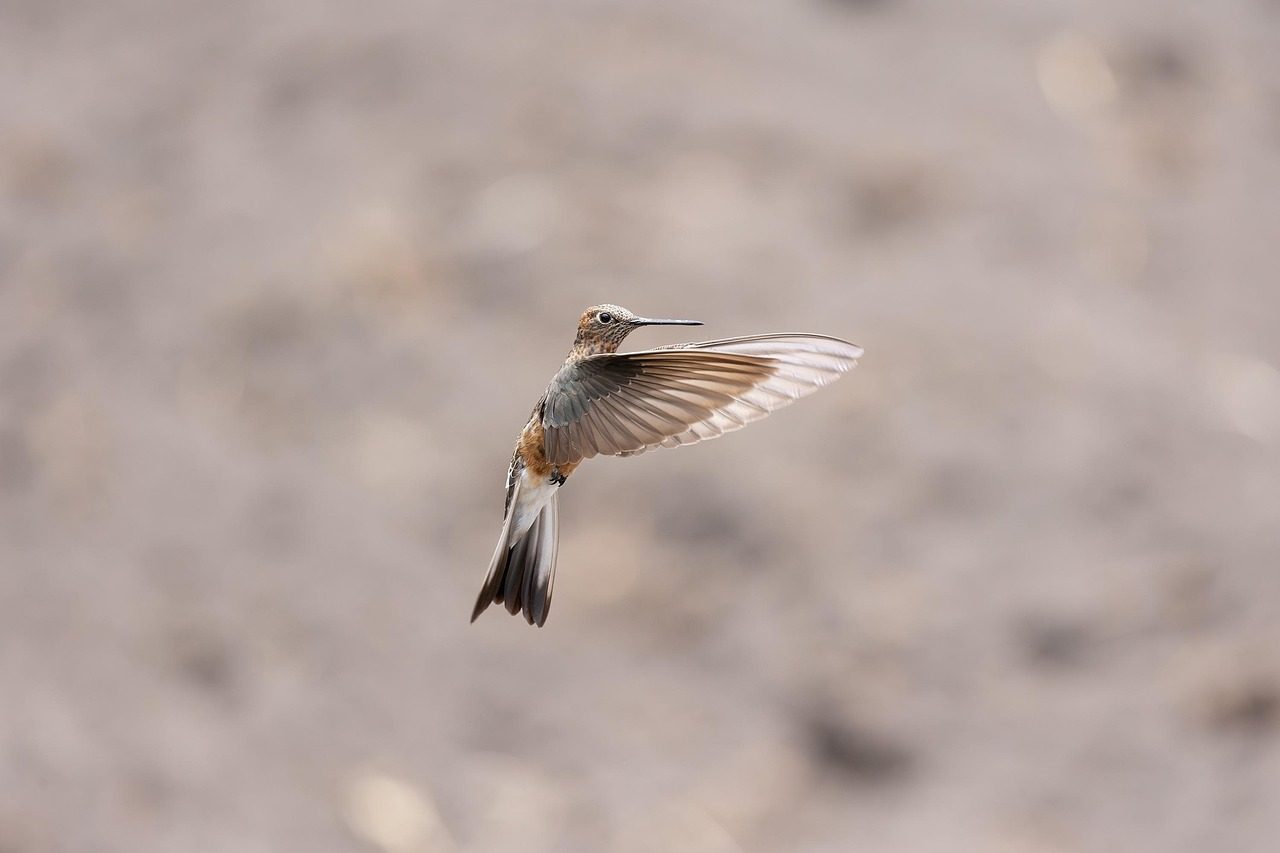 It Deepens Your Connection to Joy and Playfulness (Image Credits: Pixabay)