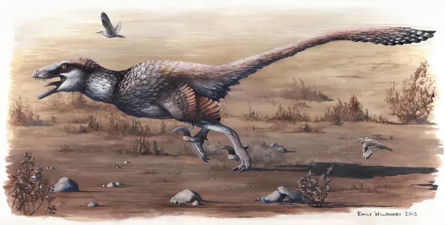 #9 - Dakotaraptor: The Sickle-Clawed Killer Living Alongside T. Rex (By Emily Willoughby, CC BY-SA 4.0)