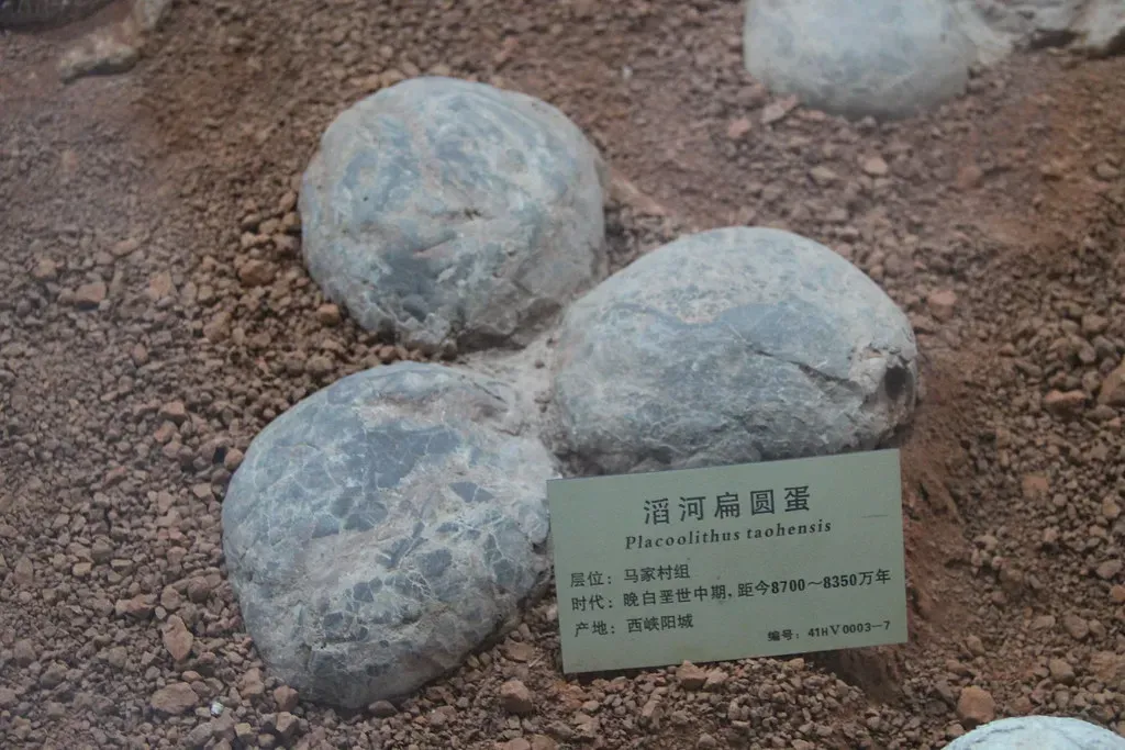 You Can Now Date Dinosaur Eggs Directly With an "Atomic Clock" Method (Image Credits: Flickr)