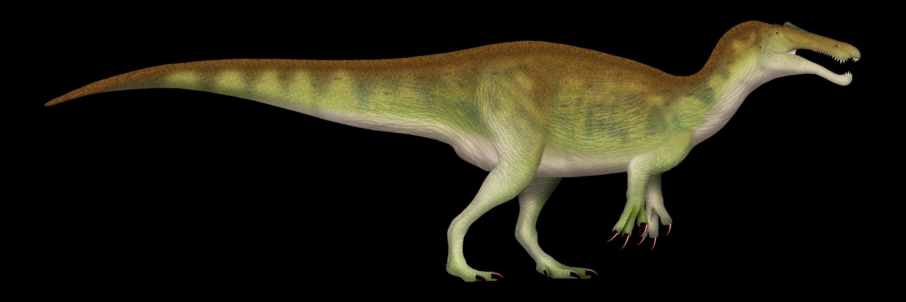 Riojavenatrix lacustris: The Spanish Lake Hunter (Image Credits: Wikimedia)