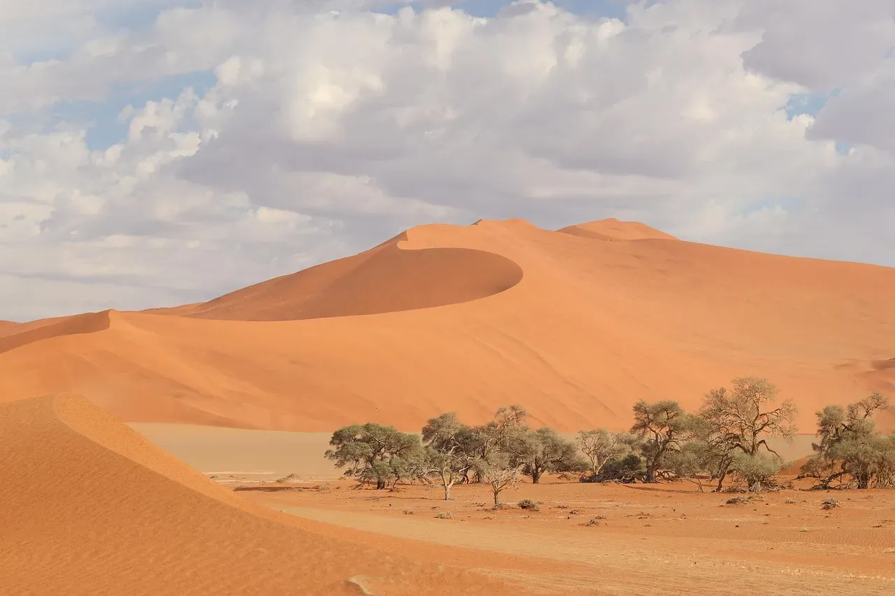 #1 - The Hidden Layers Inside Every Dune Reveal a Century of Direction Changes (Image Credits: Pixabay)
