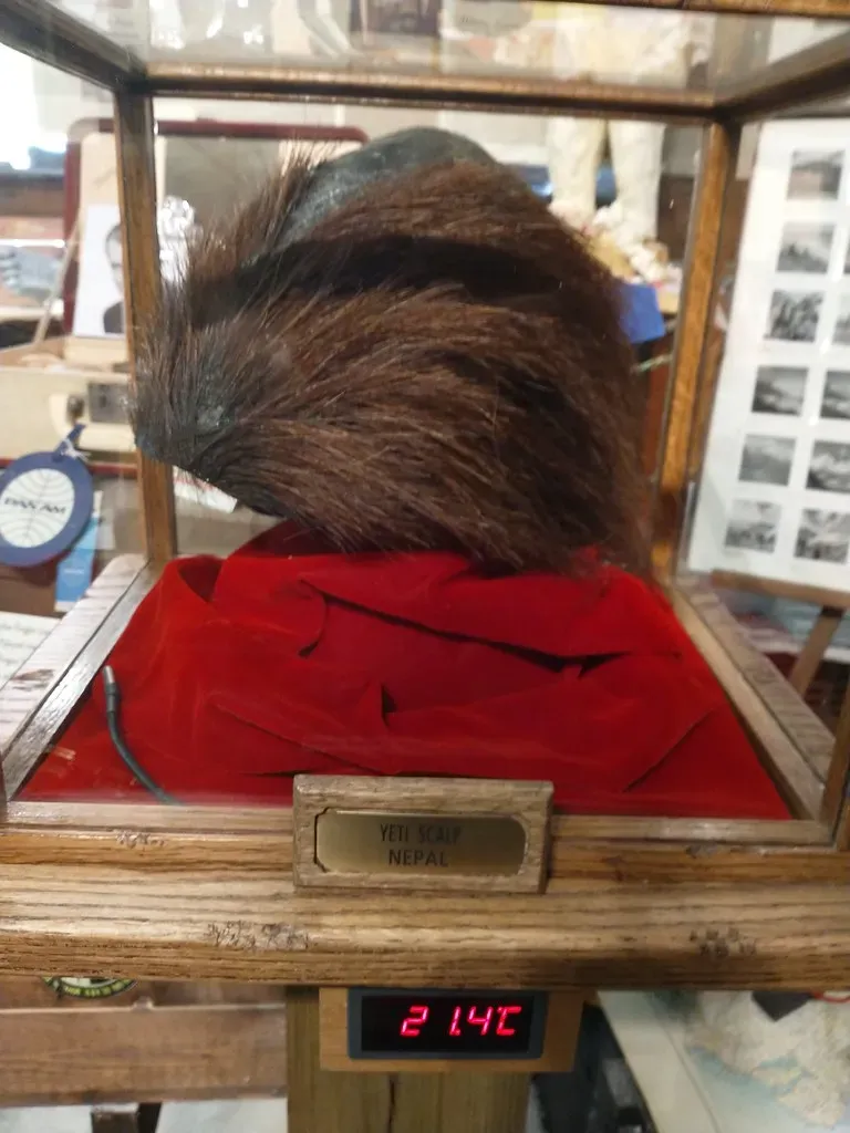 #9 - A Sacred Monastery "Yeti Scalp" Turned Out to Be a Goat (amanderson2, Flickr, CC BY 2.0)