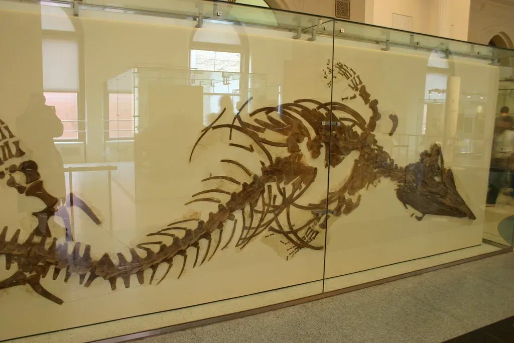 Lessons from the Deep Past (Image Credits: Flickr)