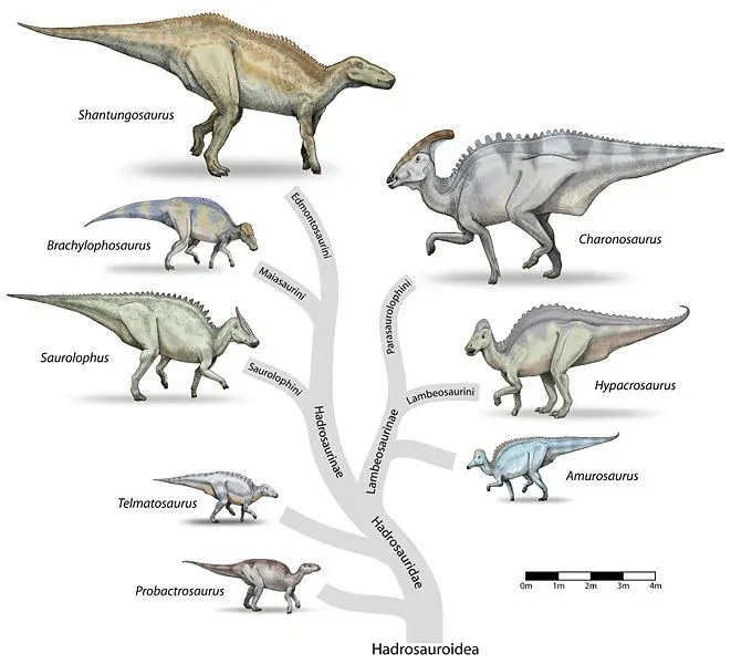 Hadrosaurs: The Duck-Billed Masters of Adaptability (Image Credits: Wikimedia)