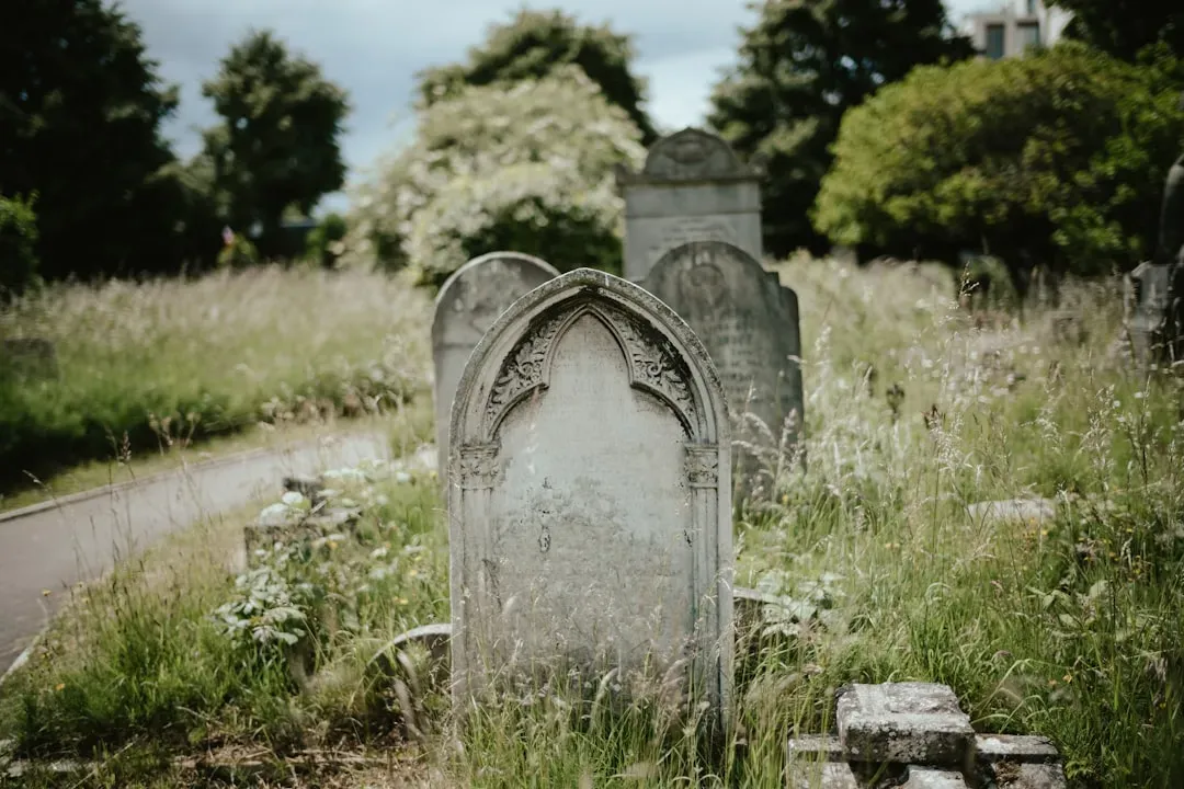 #13 - Forgotten Graves and Entire Cemeteries Lie Directly Beneath Modern Roads (Image Credits: Unsplash)