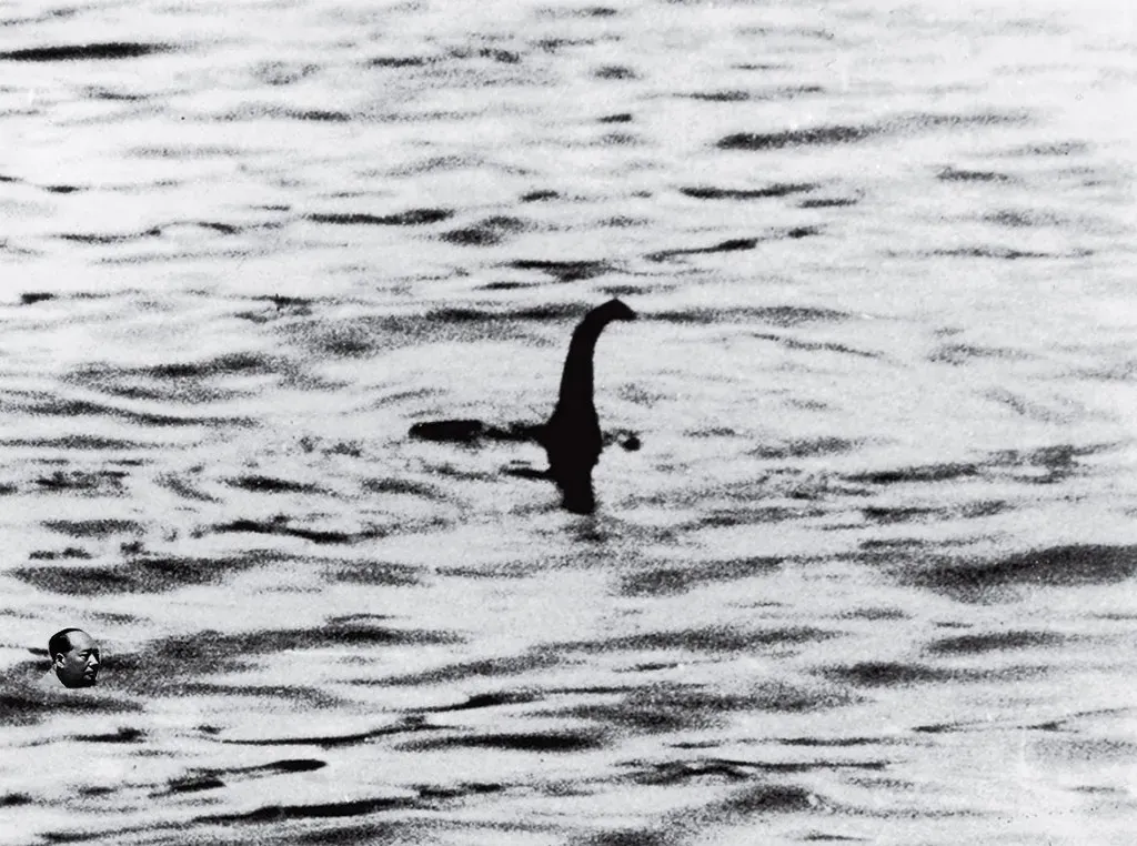11. They Inspired the Loch Ness Monster - But Science Has a Clear Answer (Steve Pike, Flickr, CC BY 2.0)