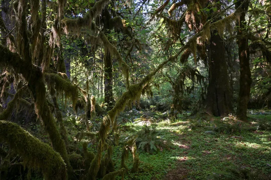 Antarctica Was Not Always the Frozen Wasteland You Think It Is (Image Credits: Pexels)