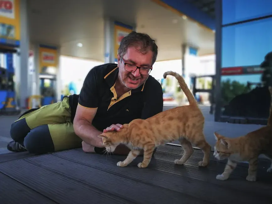 Do Animal Lovers Really Dislike People, or Just Expect More From Them? (Image Credits: Pexels)