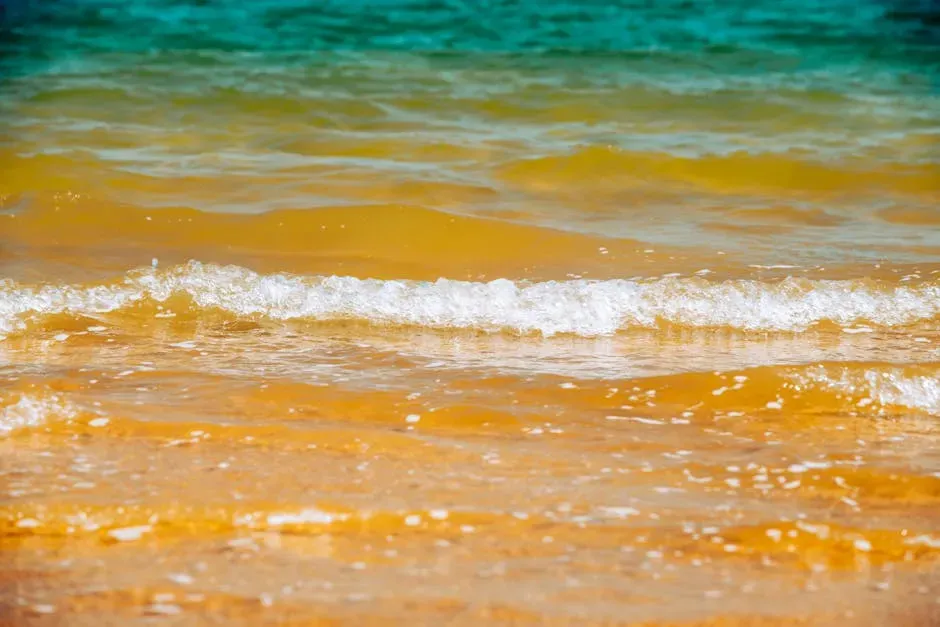 6. Some Oceans Were Stressed, Toxic, And On The Edge Of Collapse (Image Credits: Pexels)