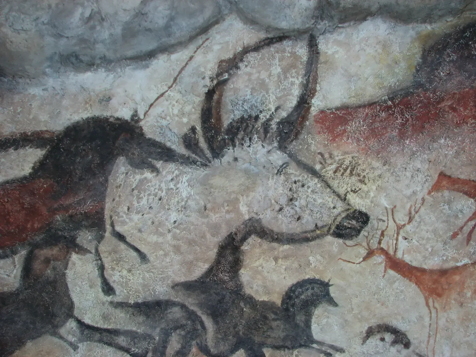 The Cave That Rewrote What “Caveman” Means (Self-photographed, Public domain)