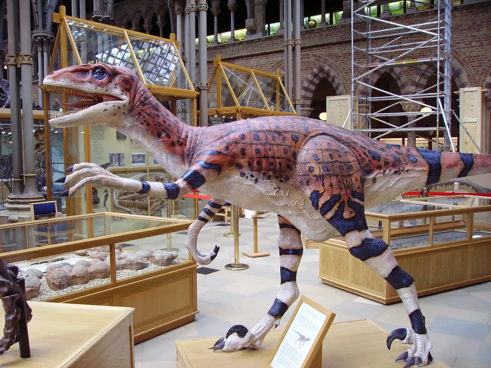 #7 - Utahraptor: The "Giant Raptor Terror" That Was Covered in Feathers (Own workTransferred from en.wikipedia, CC BY-SA 3.0)