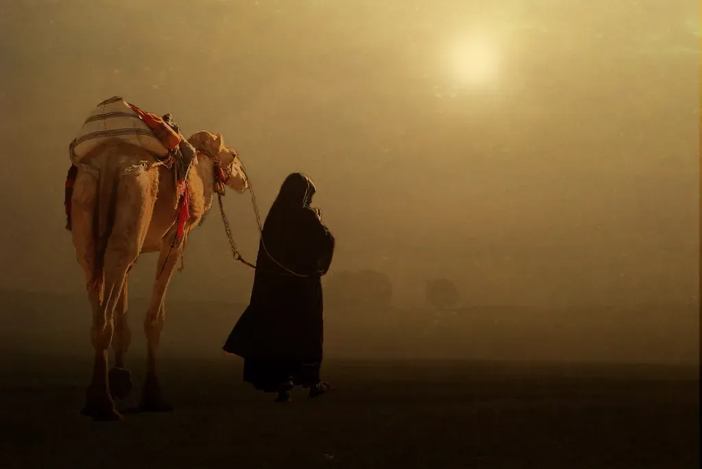 Dreams Provide Answers to Your Questions (Image Credits: Flickr)