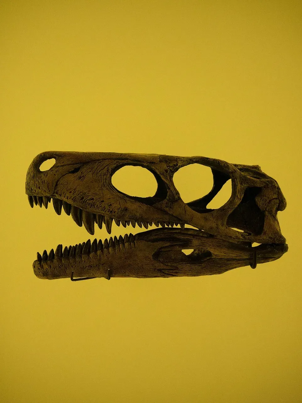 Conclusion: The Age of Discovery Is Far From Over (Image Credits: Pixabay)