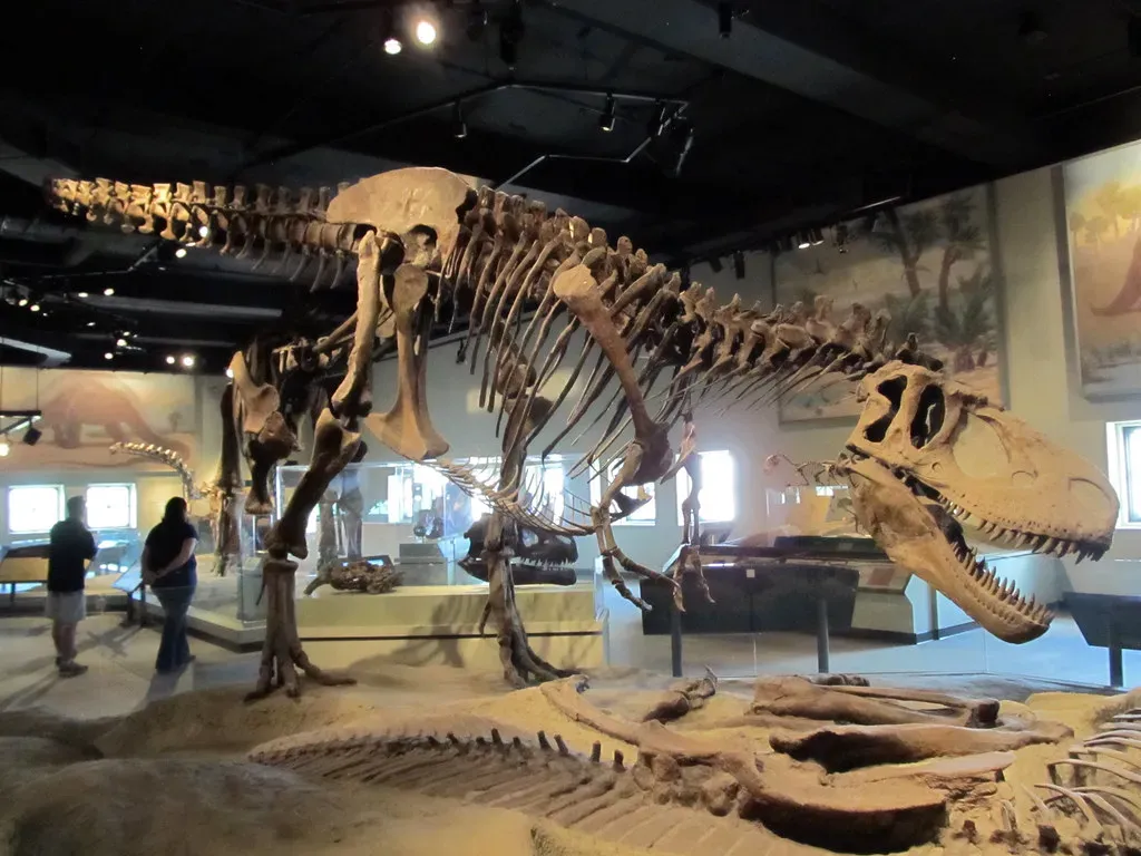 Colorado's Fossil Gold Mine (Image Credits: Flickr)