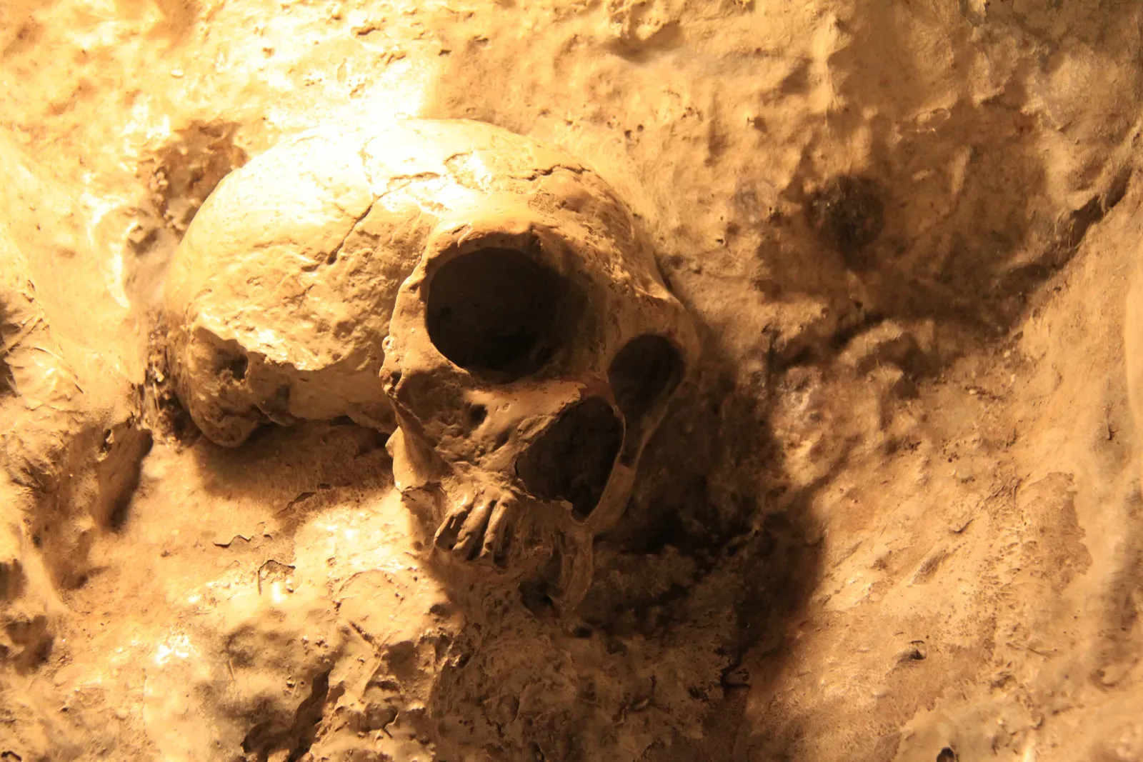 Evidence of Long-Term Care: Broken Bodies That Lived On (IMG_8585Uploaded by ecemaml, CC BY-SA 2.0)