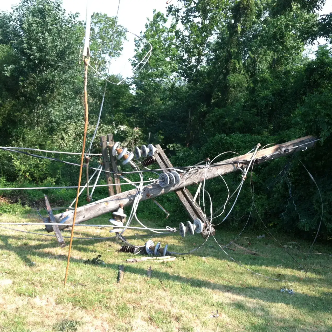 #6: Power Lines, Flags, and Anything That Stayed Taut (Downed Power Lines PoleUploaded by AlbertHerring, CC BY-SA 2.0)