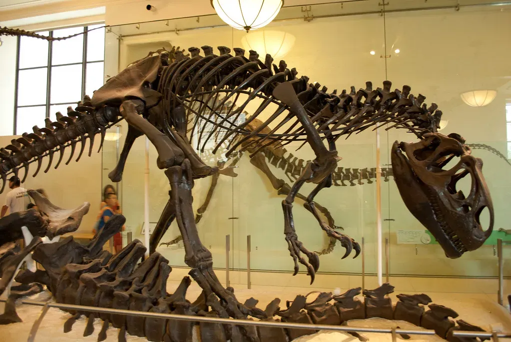 Conclusion: Extinction Is Never Simple (shri_ram_r, Flickr, CC BY 2.0)