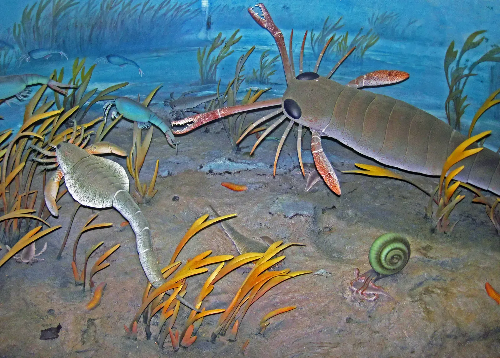 Eurypterids: The Sea Scorpions That Pushed Size Limits (Diorama of a Silurian seafloor - eurypterids (sea scorpions), algae, phyllocarids, coiled cephalopod eating a eurypterid 2, CC BY 2.0)