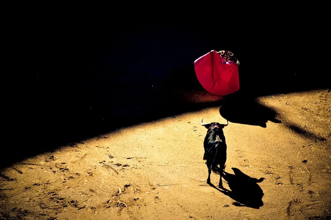 #8 - Bulls Don't Charge Because of the Color Red (Image Credits: Unsplash)