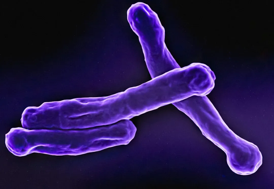 Sex Chromosomes That Refuse to Pick a Side (Image Credits: Unsplash)