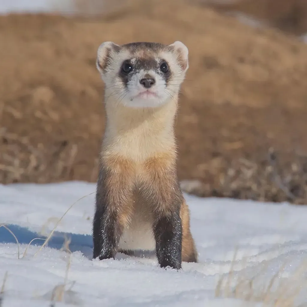The Bottom Line (Image Credits: Flickr)