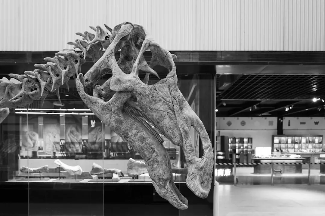 Why This Ancient Upheaval Still Matters to You Today (Image Credits: Unsplash)