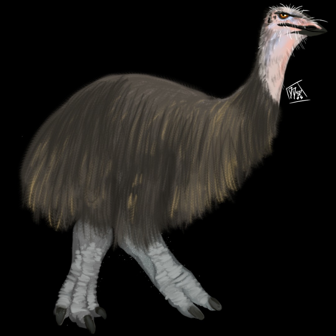 Why Some Birds Survived While Others Perished (Image Credits: Wikimedia)