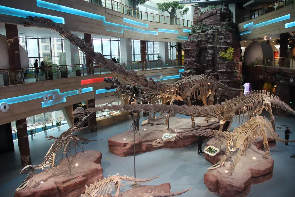 Conclusion: A Mystery That Keeps on Giving (flickr)