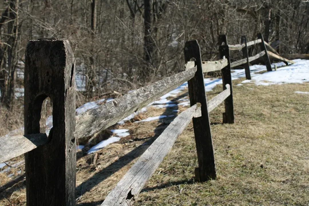 #7 Leaning Fences, Poles, and Everyday Structures (Image Credits: Unsplash)