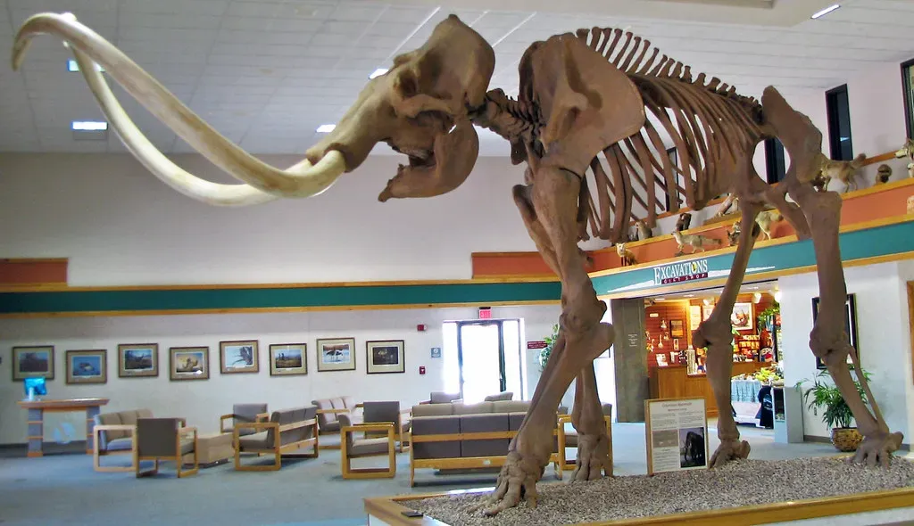 Mammoths and Humans: A Complicated Coexistence (James St. John, Flickr, CC BY 2.0)