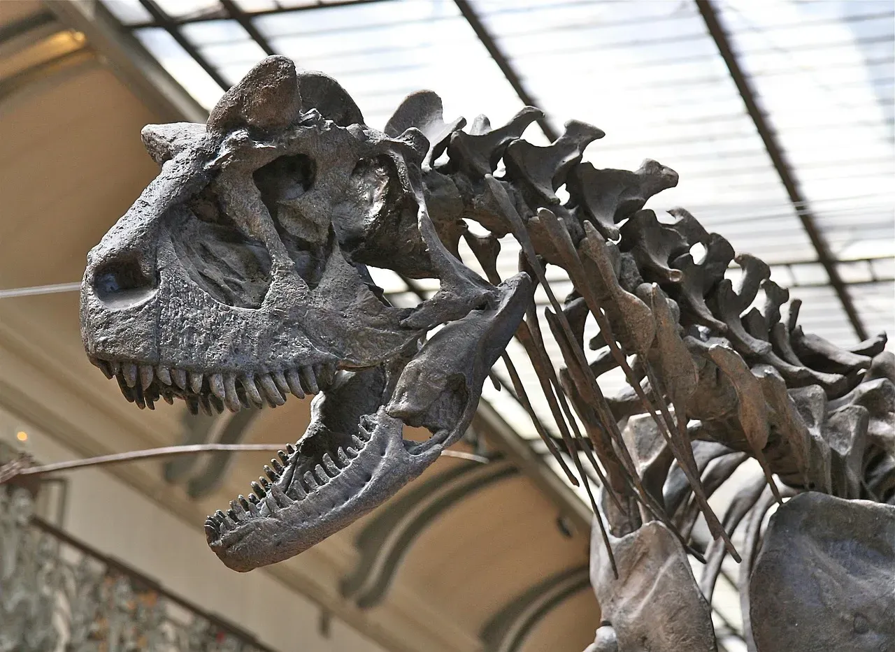 Conclusion: Science Keeps Rewriting Dinosaur History (Image Credits: Pixabay)