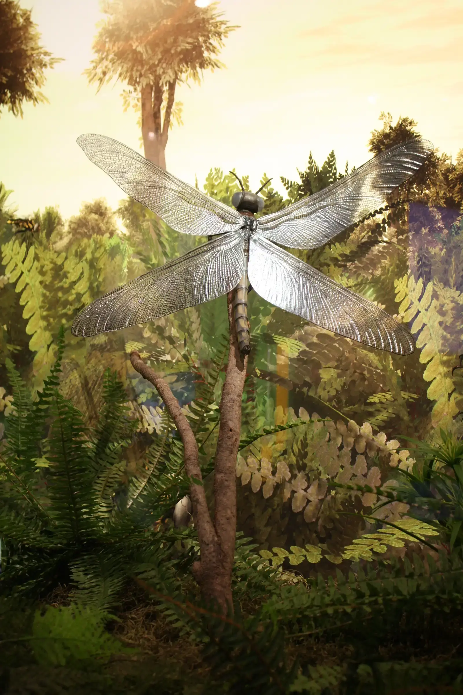 Meganeuropsis: The Biggest Insect That Ever Lived (Image Credits: Wikimedia)