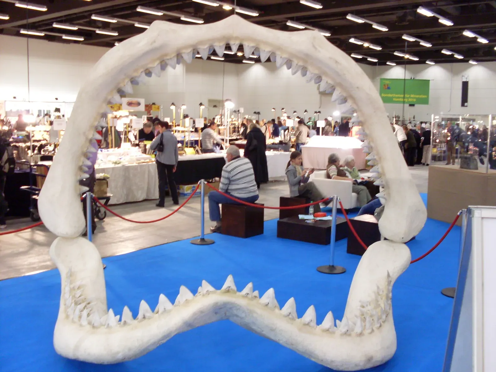 The Mystery of Its Disappearance (Image Credits: Wikimedia)