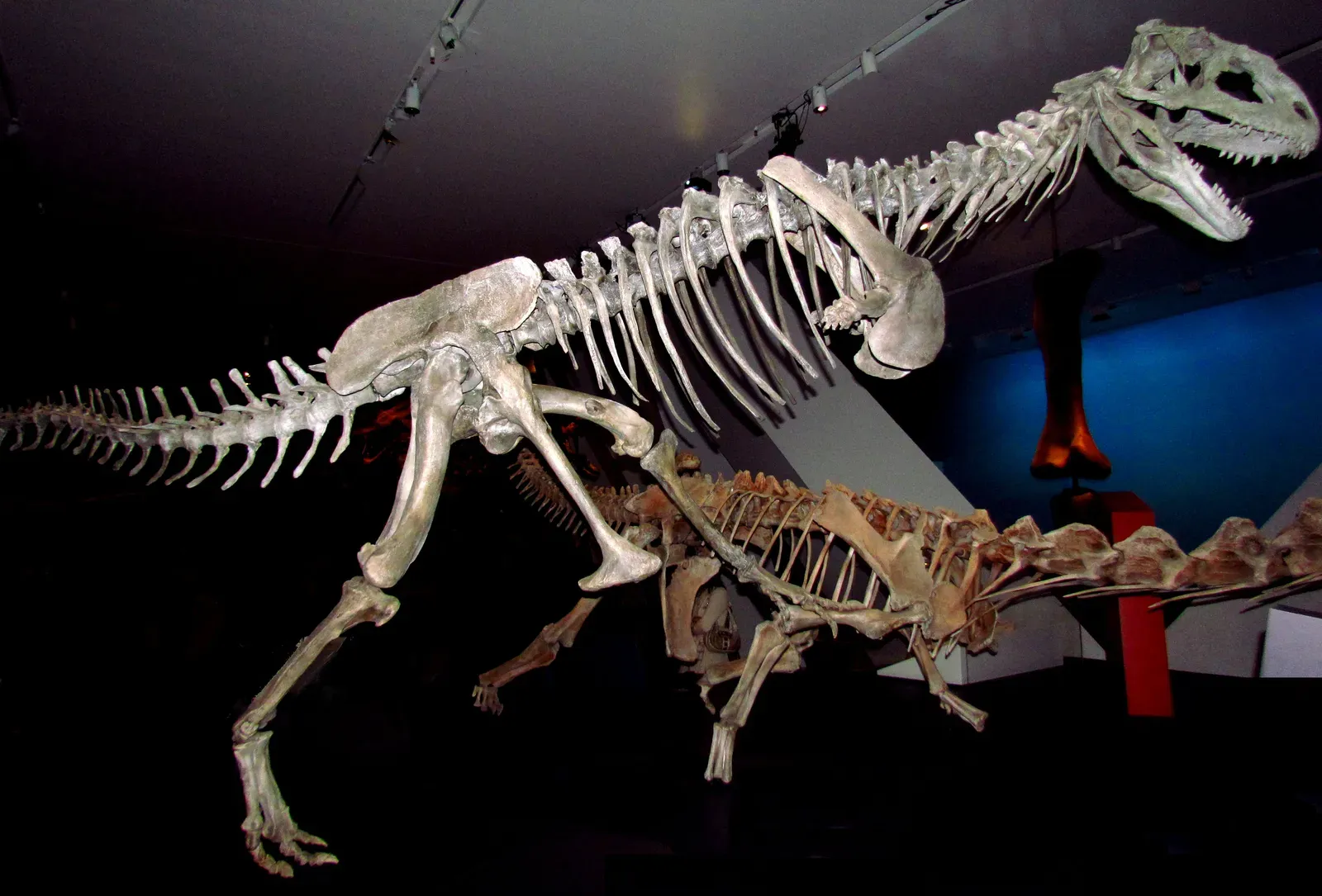 Why Scientists Still Argue About the Details (By D. Gordon E. Robertson, CC BY-SA 3.0)