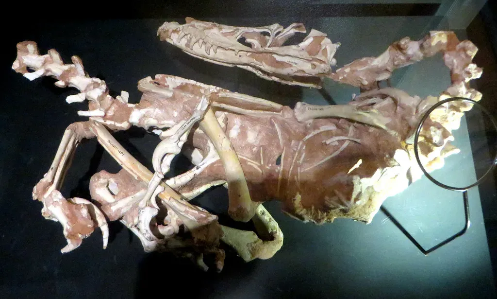 2. Feathered Dinosaurs That Turned “Big Reptiles” Into Almost-Birds (edenpictures, Flickr, CC BY 2.0)