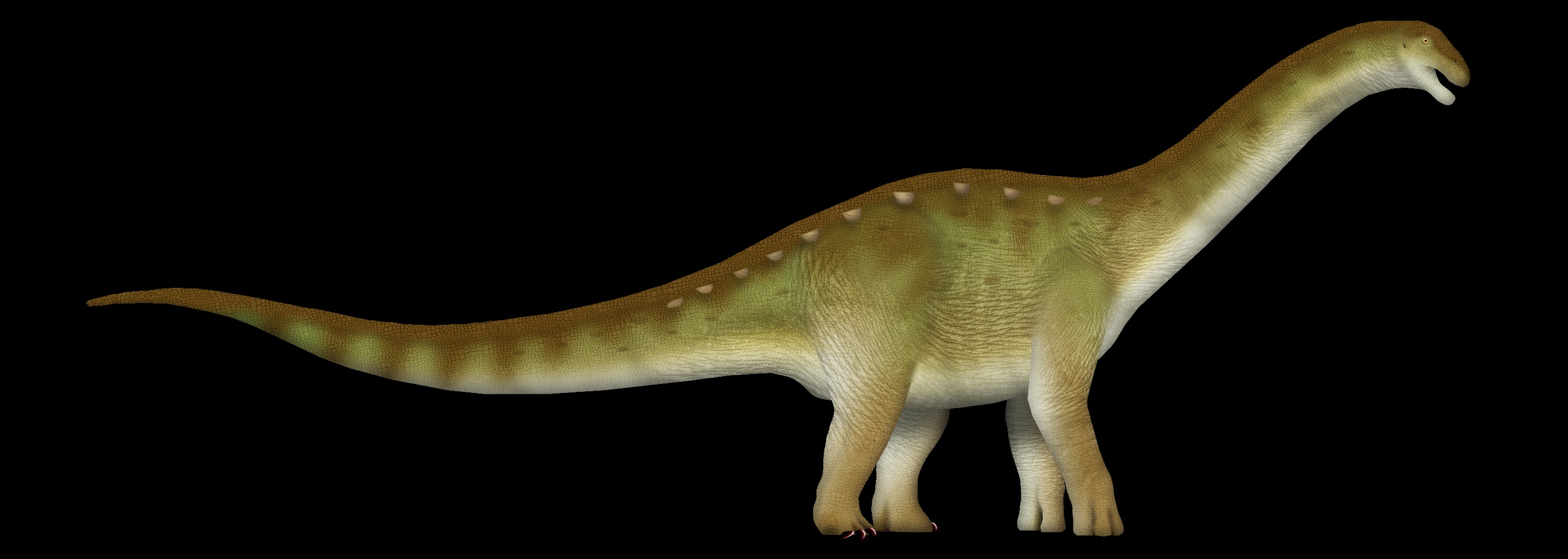 Titanomachya: The Cow-Sized Titanosaur (Image Credits: Wikimedia)