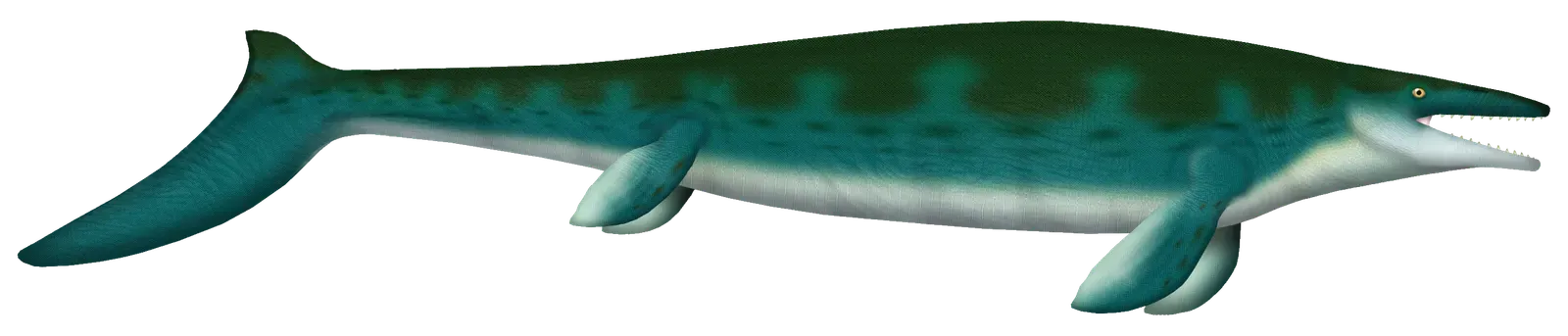 Mosasaurus and Marine Reptiles: Birthing Young At Sea (By UnexpectedDinoLesson, CC BY 4.0)