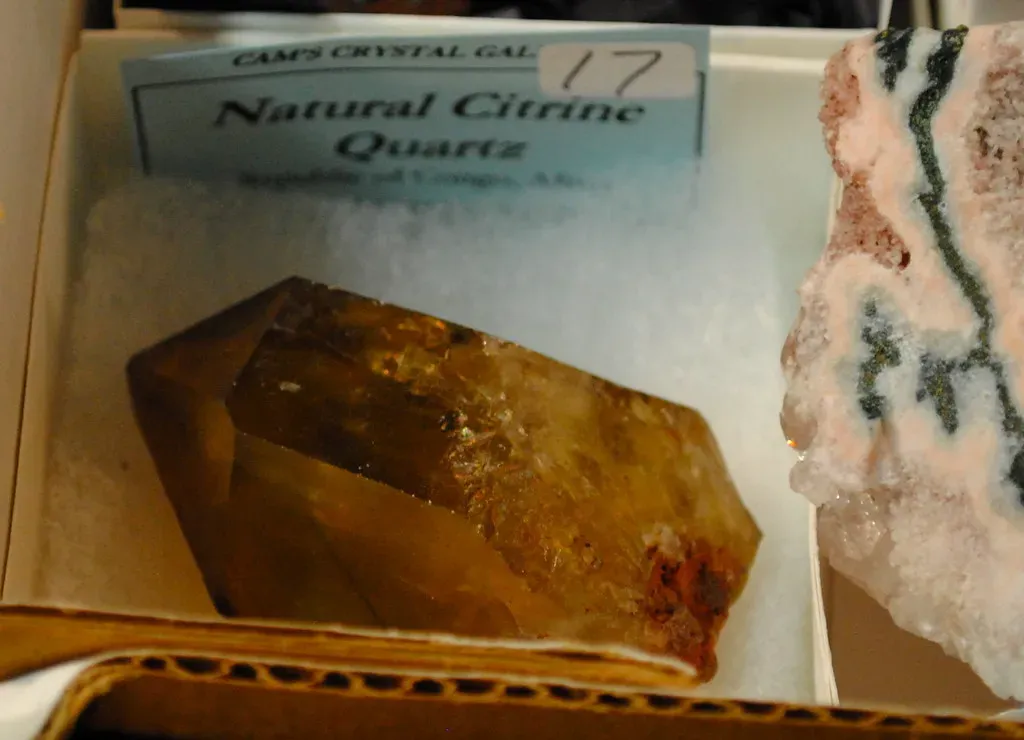 Gemini: Sparkling Citrine for Curious Minds (Deidre Woollard, Flickr, CC BY 2.0)