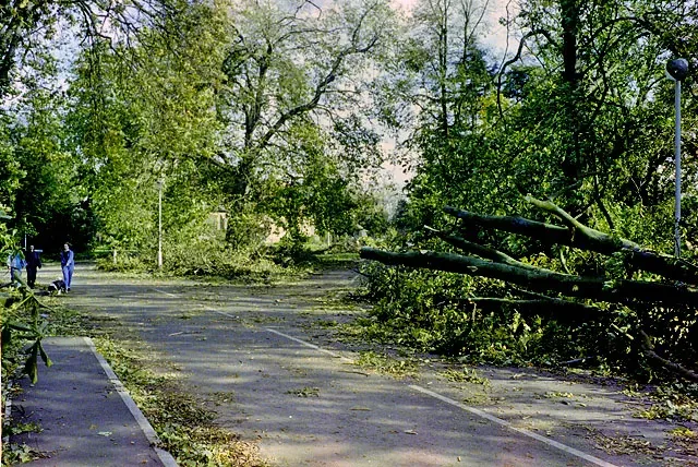 #8 - The Great Storm of 1987 That Britain Never Saw Coming (1987) (From geograph.org.uk, CC BY-SA 2.0)