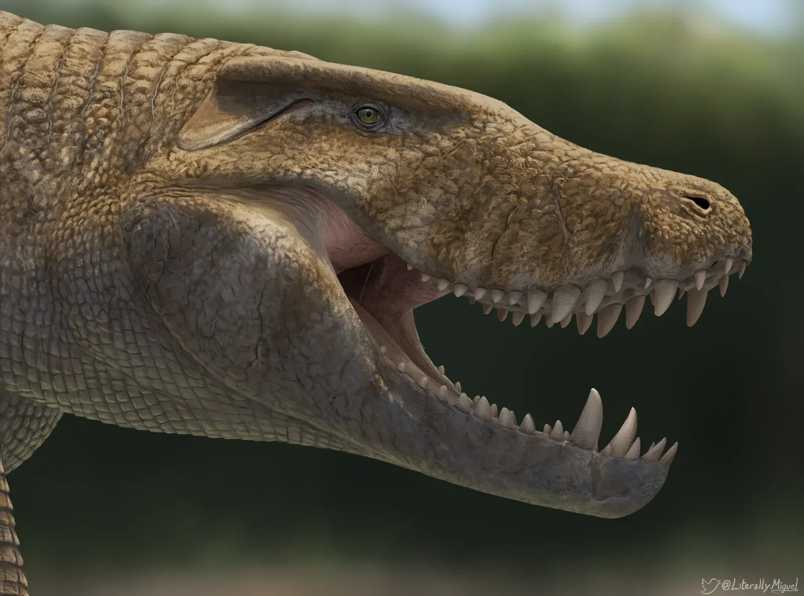 Their Real Competition: The Crocodile Cousins Nobody Talks About (Image Credits: Wikimedia)