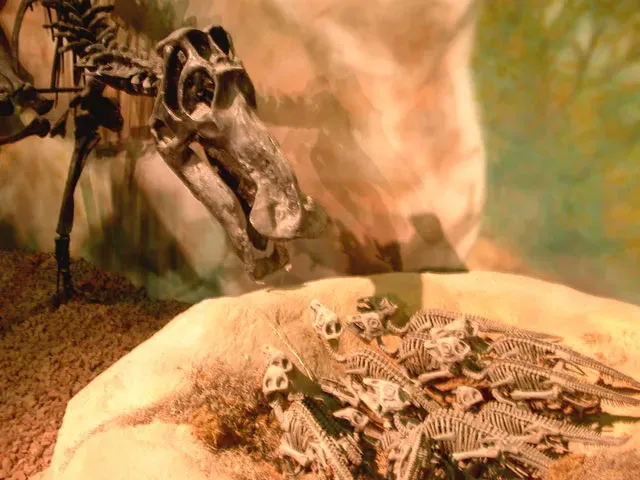 5. Maiasaura: The “Good Mother Lizard” That Transformed Dinosaur Family Life (took the foto at the Wyoming Dinosaur Center., Public domain)