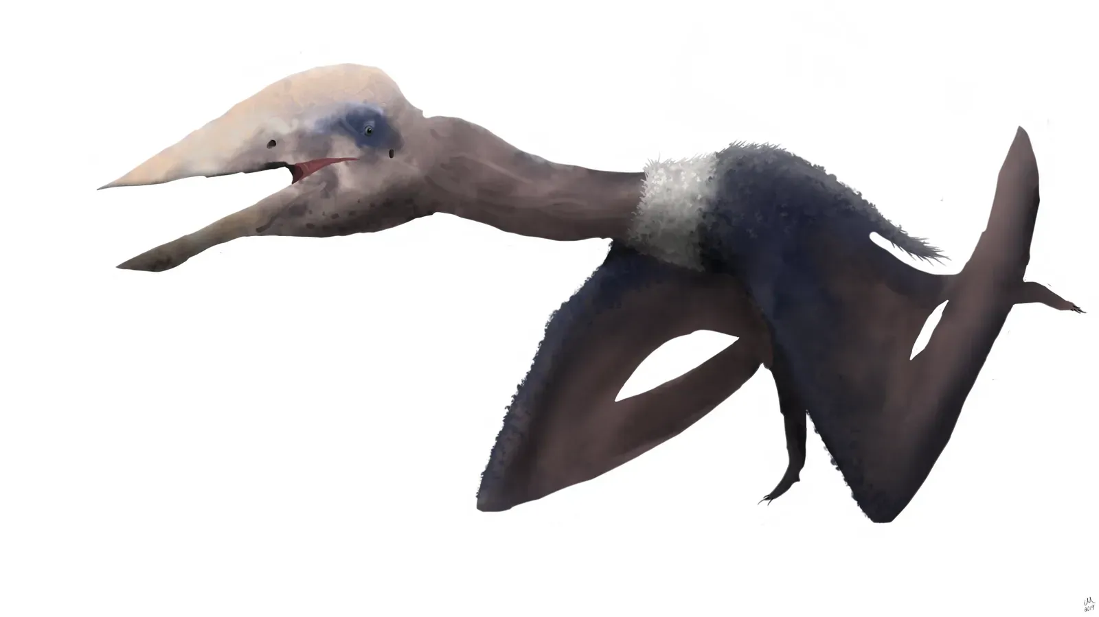 Azhdarchid Pterosaurs: The Stork-Like Terrestrial Hunters (Image Credits: Wikimedia)