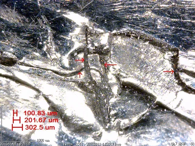 Preserved Blood Vessels and Soft Tissue: A Window Into Living Dinosaurs (Wretch Fossil, Flickr, CC BY 2.0)