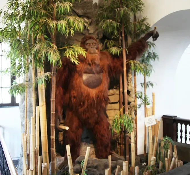 #8 - Gigantopithecus blacki: The Ape Built From Teeth Alone (Image Credits: Flickr)