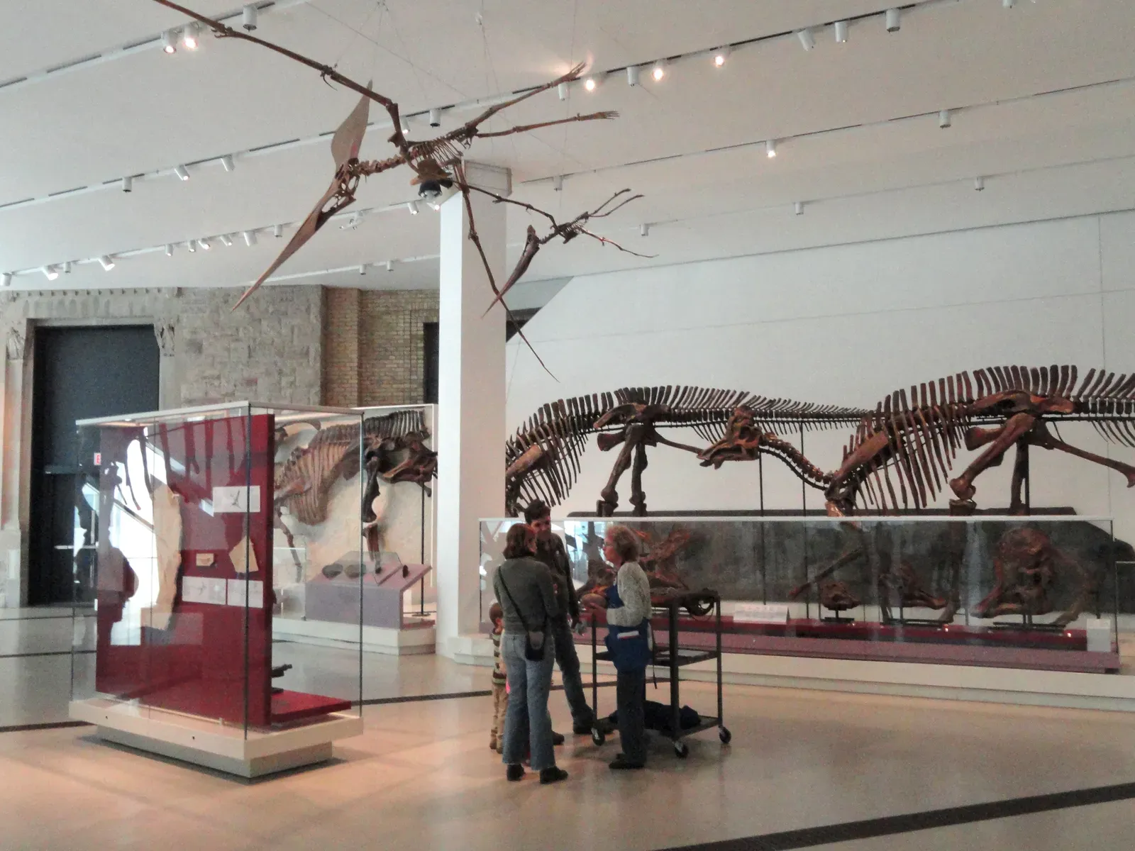 Museums Carry Enormous Scientific Loads On Shoestring Budgets (By Daderot, CC0)