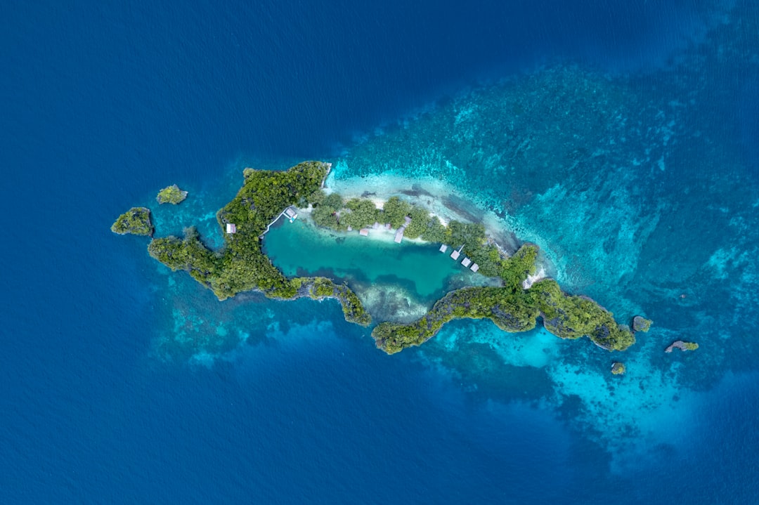 The Hidden Microcontinent of Mauritia (Image Credits: Unsplash)